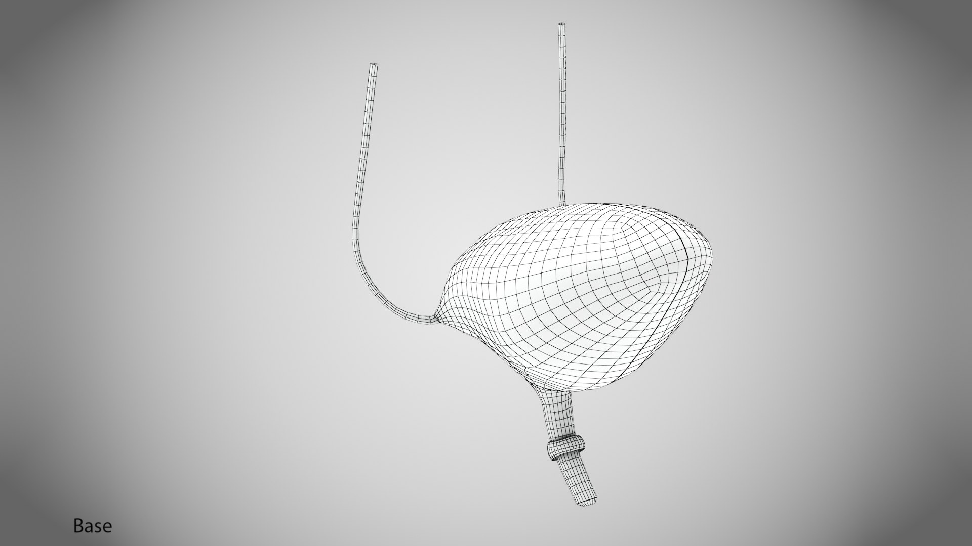 Bladder with anatomic cut 3D https://p.turbosquid.com/ts-thumb/ai/QVyHuz/gt/wire0008/jpg/1643634567/1920x1080/fit_q87/520ff7a1880127f57d467a6fe7f15f0a5d90b2e9/wire0008.jpg
