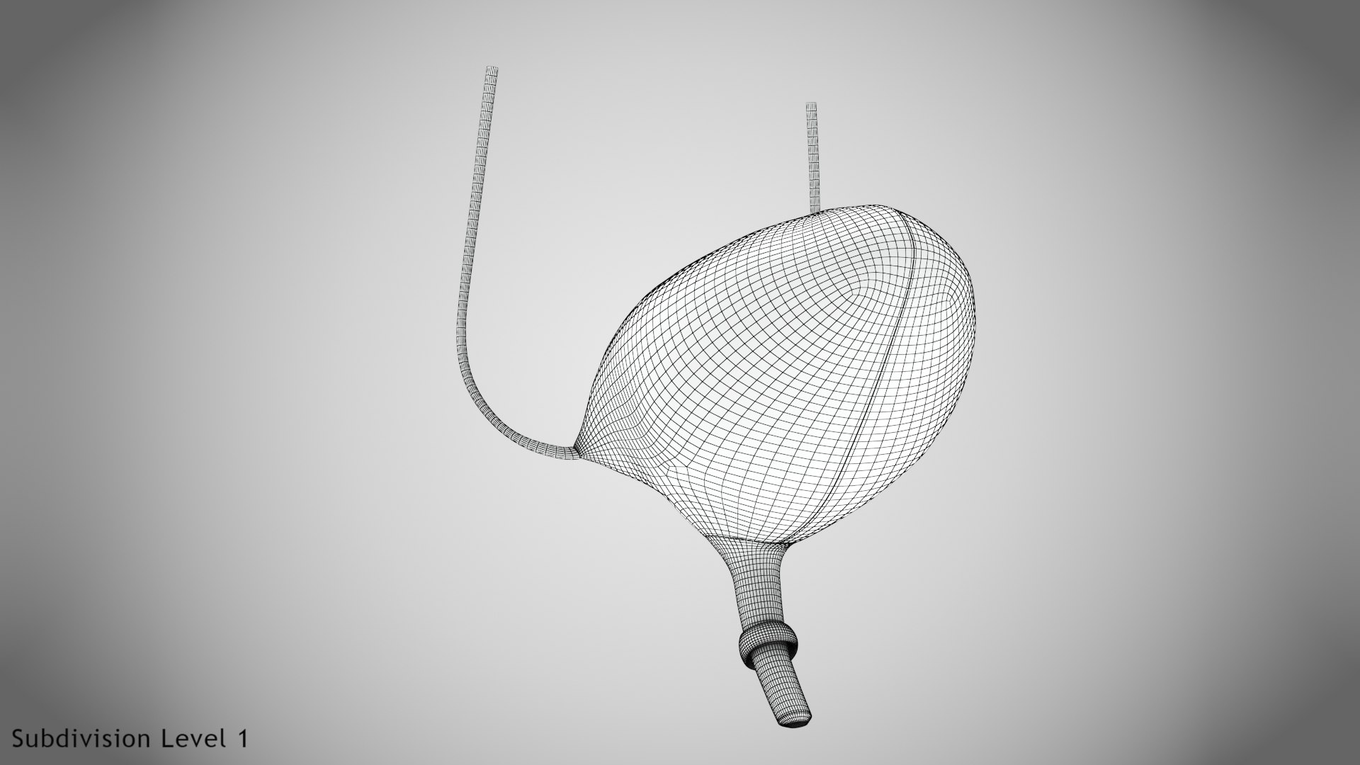 Bladder with anatomic cut 3D https://p.turbosquid.com/ts-thumb/ai/QVyHuz/mL/wire0002copy/jpg/1643634567/1920x1080/fit_q87/4ee68a943084b413b0c970301686fa835525d2de/wire0002copy.jpg