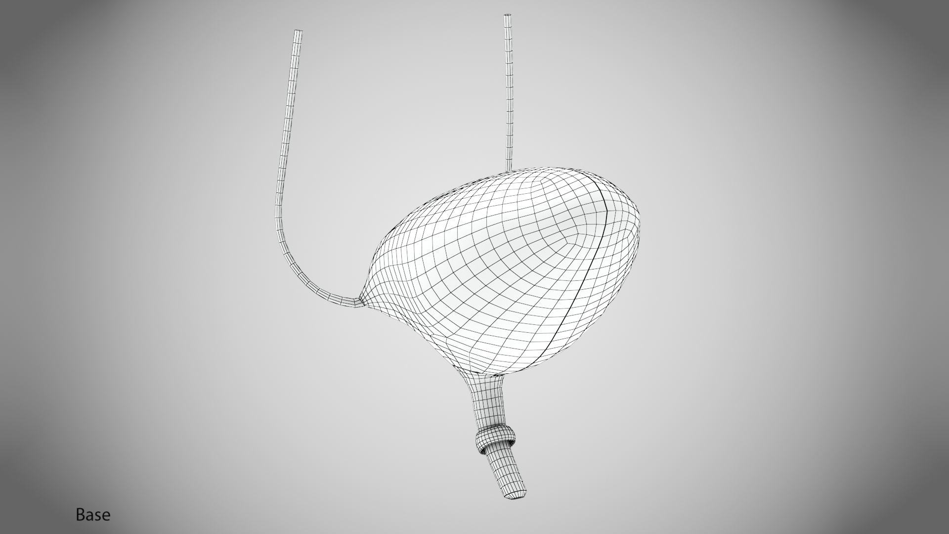 Bladder with anatomic cut 3D https://p.turbosquid.com/ts-thumb/ai/QVyHuz/pl/w/jpg/1643633938/1920x1080/turn_fit_q99/fcd6ed19a30a9fc2b545d4f60a91b26f789ec56b/w-1.jpg