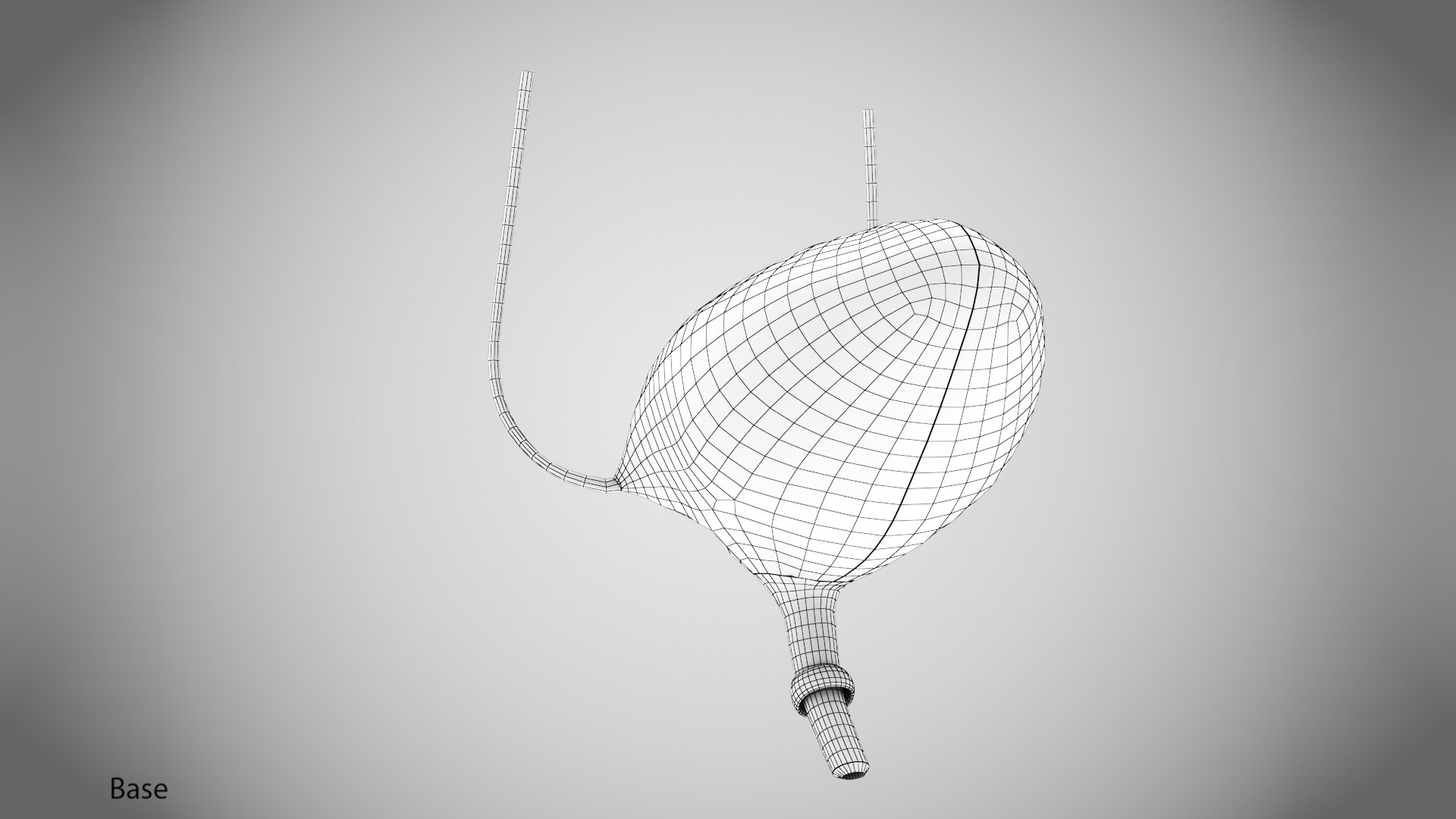 Bladder with anatomic cut 3D https://p.turbosquid.com/ts-thumb/ai/QVyHuz/z2/wire0002/jpg/1643634567/1920x1080/fit_q87/7c5fa871704614400071c181ede1646276792fab/wire0002.jpg