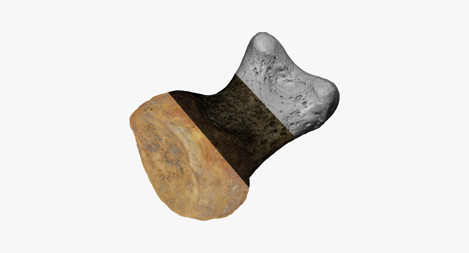 3D proximal phalanx bone big model https://p.turbosquid.com/ts-thumb/ai/S28HeA/7z8YlN3R/proximal_phalanx_bone_of_big_toe_01_thumbnail_06/jpg/1587039893/1920x1080/fit_q87/021fbcf66a63827258be31d152b3511c8334d334/proximal_phalanx_bone_of_big_toe_01_thumbnail_06.jpg