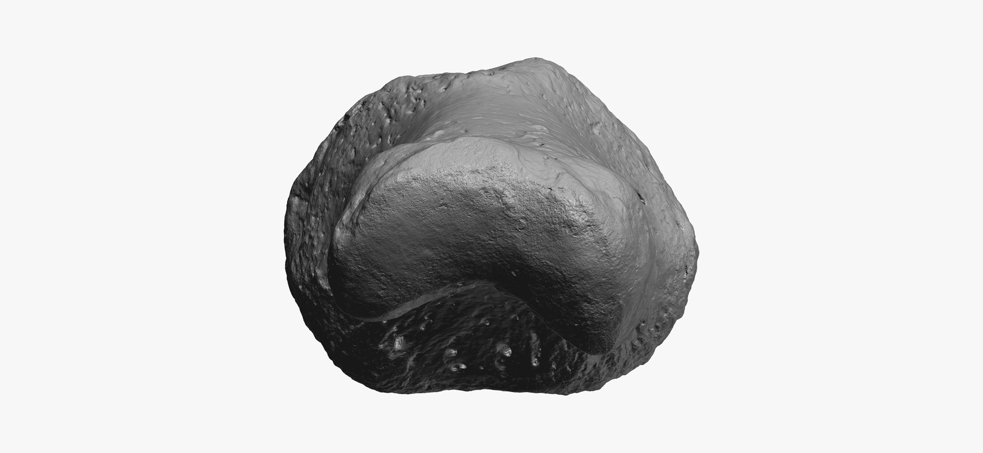 3D proximal phalanx bone big model https://p.turbosquid.com/ts-thumb/ai/S28HeA/ArZ6Oz0d/proximal_phalanx_bone_of_big_toe_01_thumbnail_08/jpg/1602491451/1920x1080/fit_q87/bbc28aec087c2935c77f063aa20e46c8ae3db0e9/proximal_phalanx_bone_of_big_toe_01_thumbnail_08.jpg