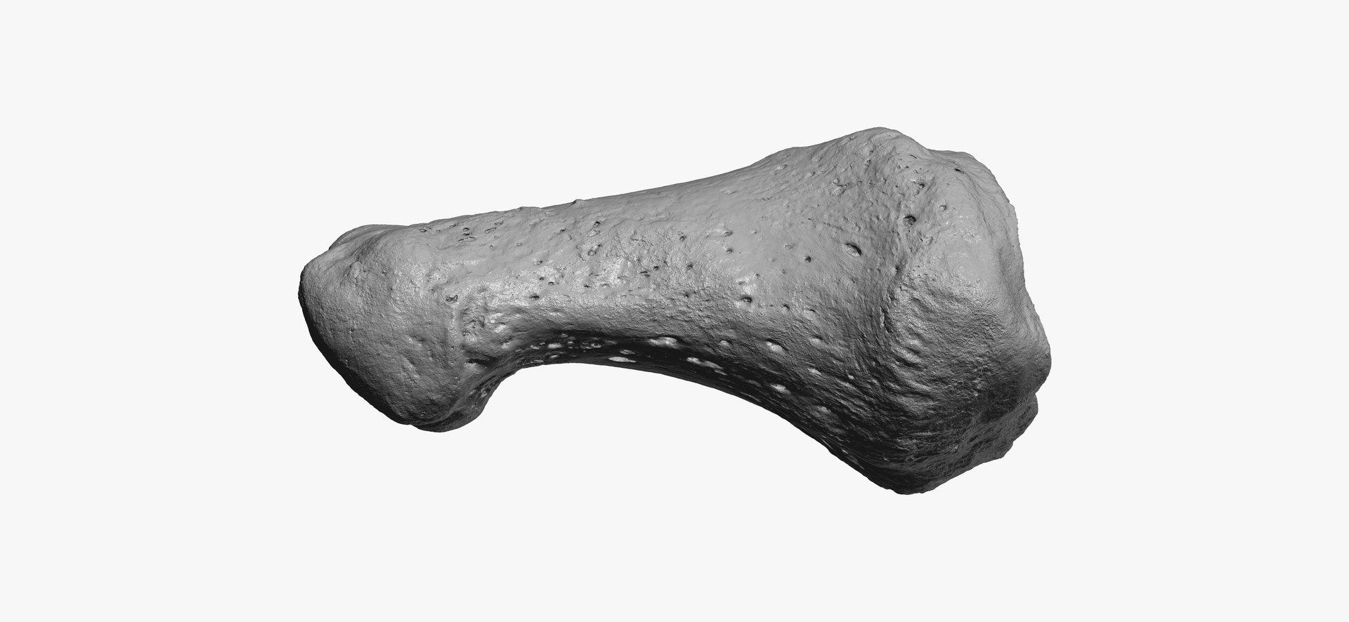 3D proximal phalanx bone big model https://p.turbosquid.com/ts-thumb/ai/S28HeA/FIIXvvKH/proximal_phalanx_bone_of_big_toe_01_thumbnail_12/jpg/1602491452/1920x1080/fit_q87/5a97804e1e693dd89c4047f6c35804281ba4c552/proximal_phalanx_bone_of_big_toe_01_thumbnail_12.jpg