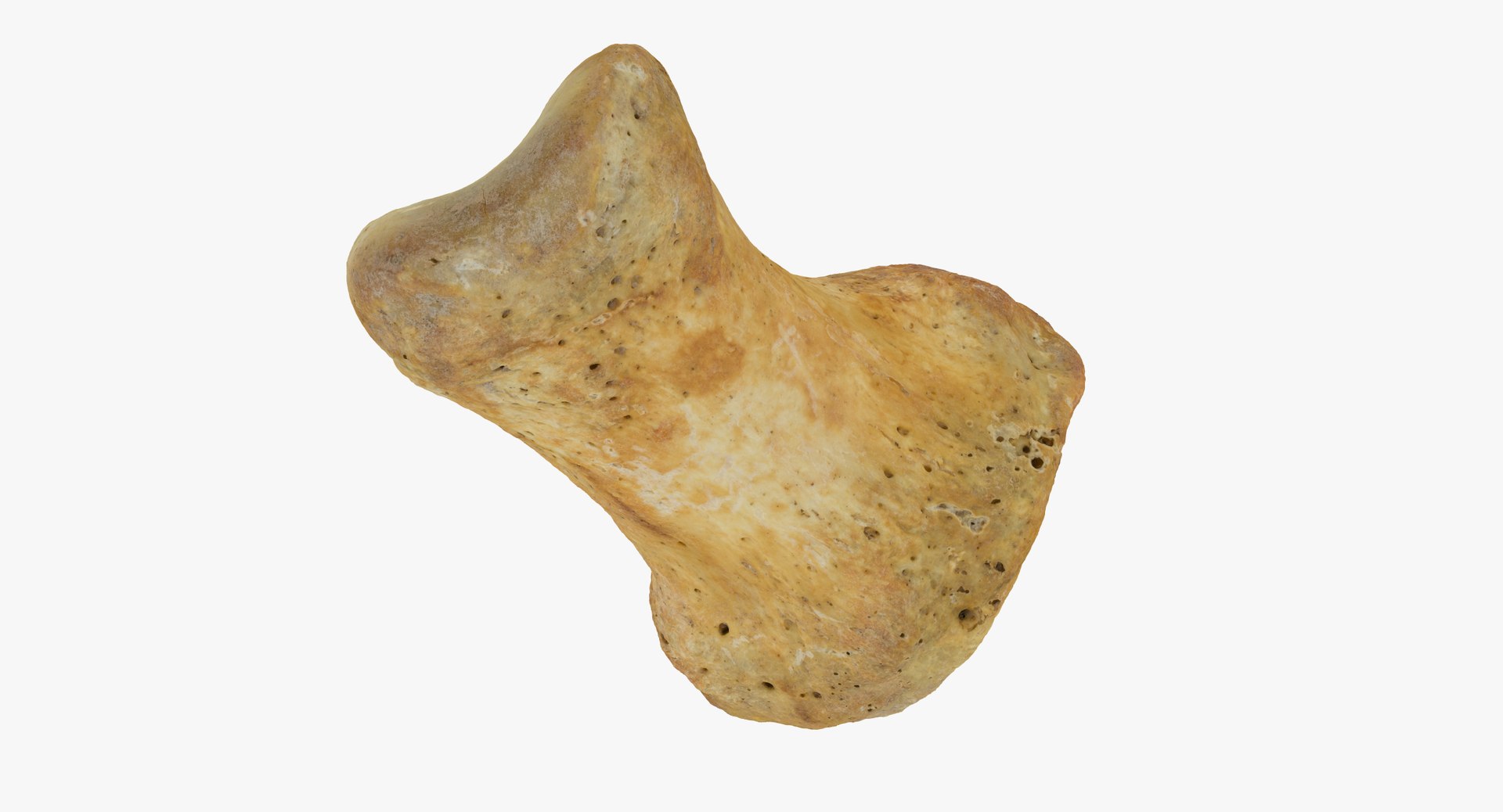 3D proximal phalanx bone big model https://p.turbosquid.com/ts-thumb/ai/S28HeA/YY3YpzQA/proximal_phalanx_bone_of_big_toe_01_thumbnail_04/jpg/1587039893/1920x1080/fit_q87/e7a0eda38548bd4883c79e49ef670152541ddf81/proximal_phalanx_bone_of_big_toe_01_thumbnail_04.jpg