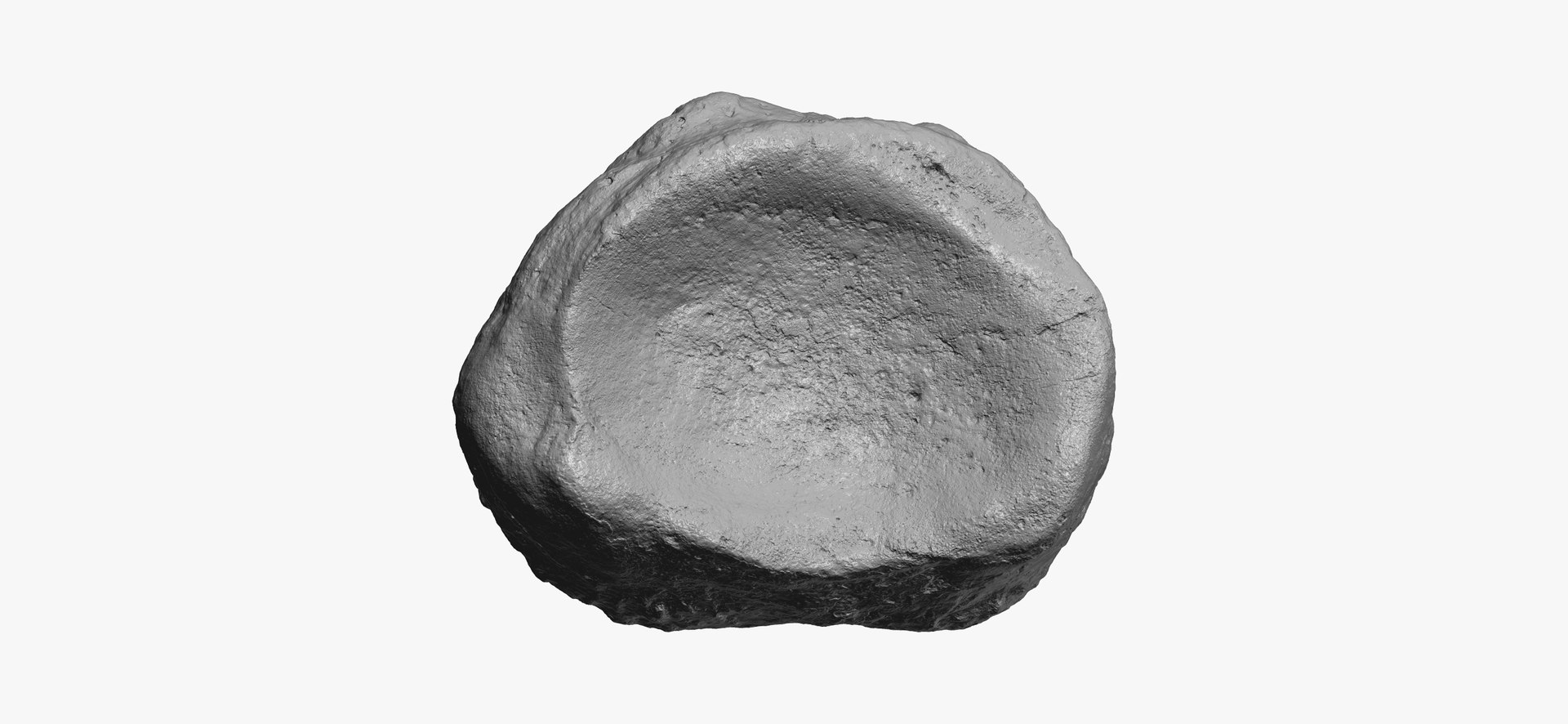 3D proximal phalanx bone big model https://p.turbosquid.com/ts-thumb/ai/S28HeA/i8sIGVYi/proximal_phalanx_bone_of_big_toe_01_thumbnail_10/jpg/1602491452/1920x1080/fit_q87/947bf8d5101a1eaeed0986e3d6c2edc76e53d431/proximal_phalanx_bone_of_big_toe_01_thumbnail_10.jpg