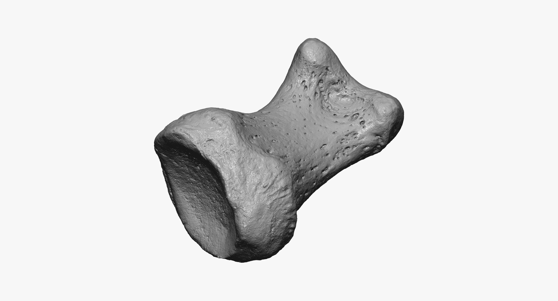 3D proximal phalanx bone big model https://p.turbosquid.com/ts-thumb/ai/S28HeA/kr1TfkAe/proximal_phalanx_bone_of_big_toe_01_thumbnail_02/jpg/1587039893/1920x1080/fit_q87/f8677f250d5de9608273ed257f27b070d1874899/proximal_phalanx_bone_of_big_toe_01_thumbnail_02.jpg