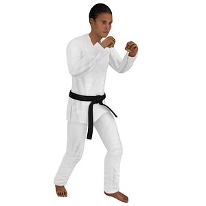 3D rigged karate