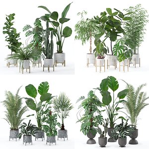 20 Photorealistic Flowers for Interiors - set 118 130 141 143