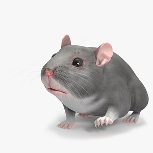 3D Dwarf Hamster Gray Rigged for Maya