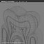 tooth section 3d model