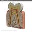 tooth section 3d model