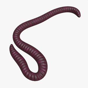 3D Red worm 01 model