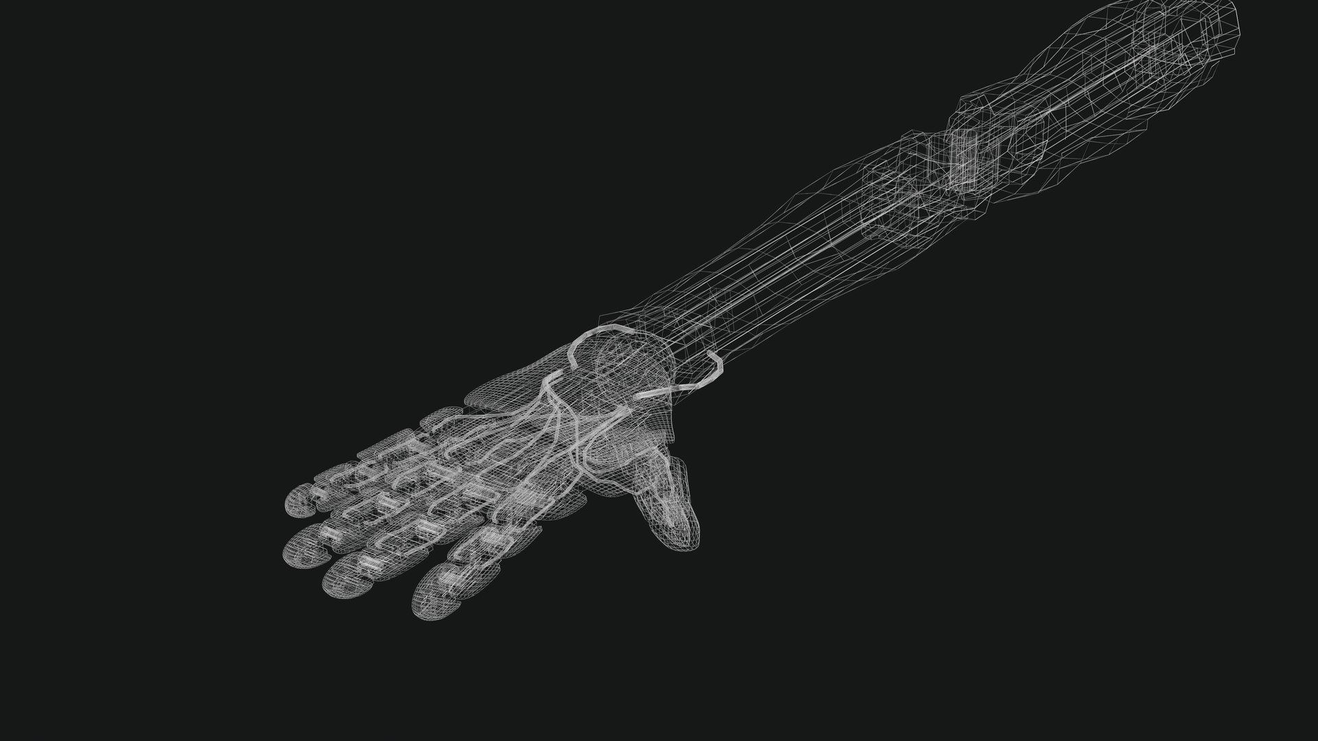 3D Robot Hand https://p.turbosquid.com/ts-thumb/aj/MOqTVI/Br/wireframe/png/1657638435/1920x1080/fit_q87/464a4fec4344c269e44dcab4be770793e0d65275/wireframe.jpg