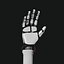 Robot Hand