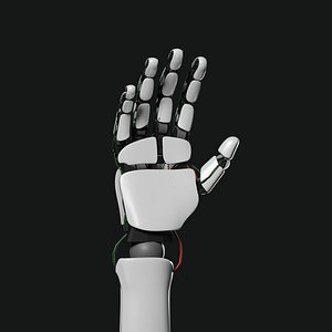 Robot Hand