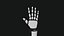 Robot Hand