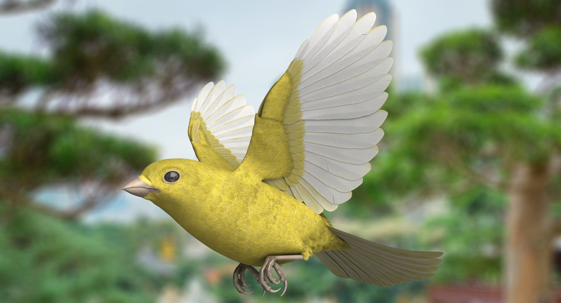 3D model rigged domestic canary - TurboSquid 1382164