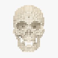 Voxel Skull