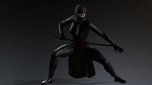 3D Female Ninja Warrior