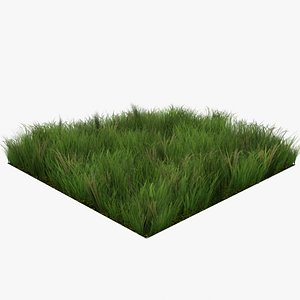 3D model Grass Lowpoly Game Ready