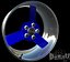 DD Cutter Wheels