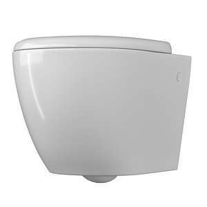 3D model wall hung water closet