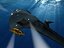 VUE SUR LA MER