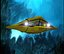 VUE SUR LA MER
