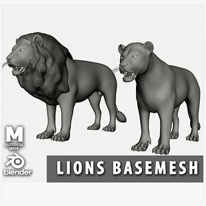 Lion Couple Basemesh 3D model