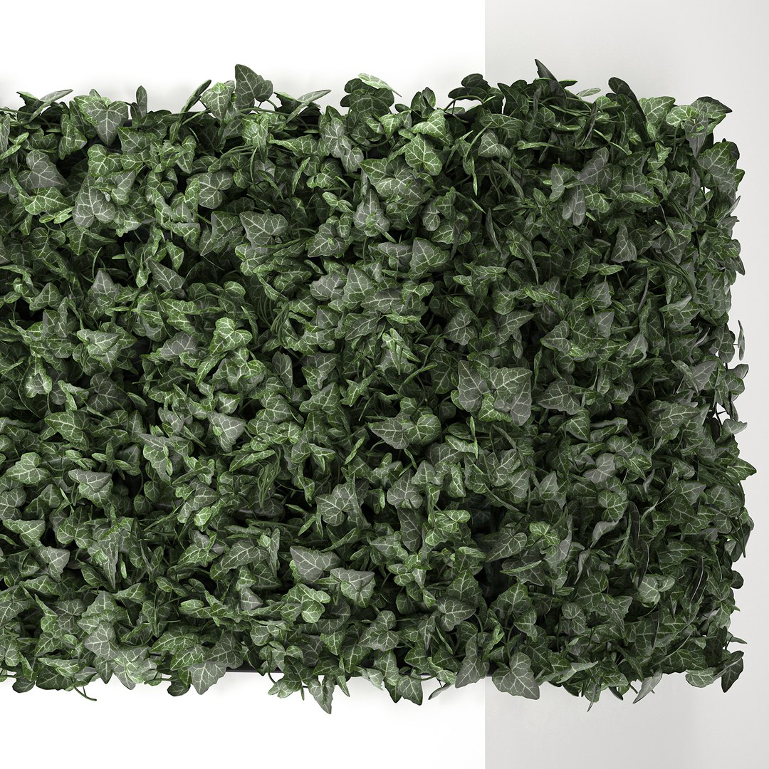 3D model corner green wall phytowall https://p.turbosquid.com/ts-thumb/ak/9xdNZn/CDPOdMBc/ivy0210202002/jpg/1601840324/1920x1080/fit_q87/ecb4c6e454bfadba6fd5548b98883c3e20148895/ivy0210202002.jpg
