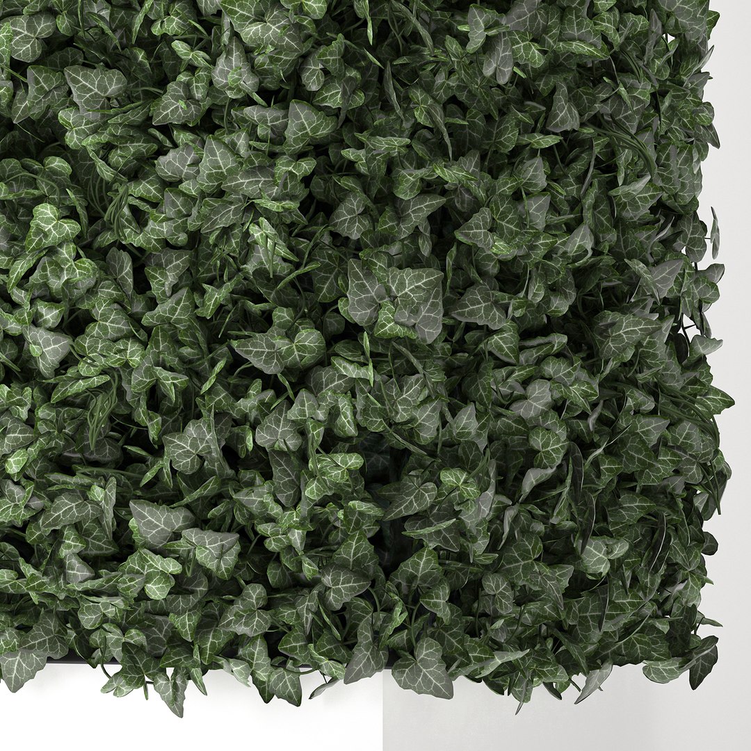3D model corner green wall phytowall https://p.turbosquid.com/ts-thumb/ak/9xdNZn/D6recwb2/ivy0210202003/jpg/1601840324/1920x1080/fit_q87/7febe0e3f6999ac1ba2076756a38940690300745/ivy0210202003.jpg
