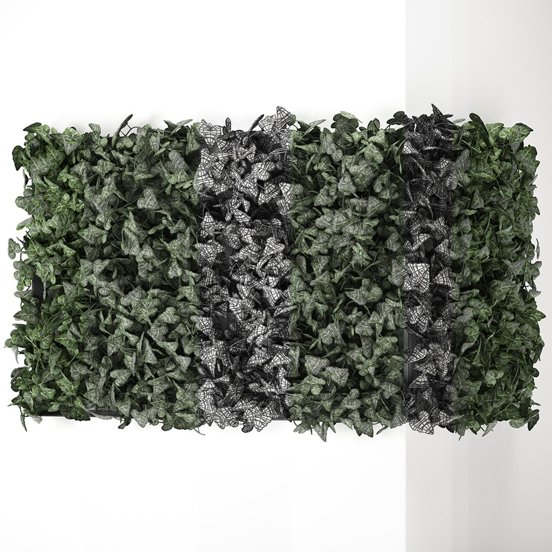 3D model corner green wall phytowall https://p.turbosquid.com/ts-thumb/ak/9xdNZn/TQB0Krxl/ivy0210202007/jpg/1601840324/1920x1080/fit_q87/474764314dd0e66887dc0ff0ebd0d14c34993fc7/ivy0210202007.jpg