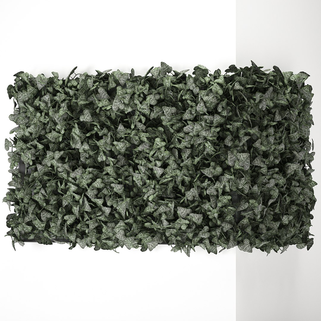 3D model corner green wall phytowall https://p.turbosquid.com/ts-thumb/ak/9xdNZn/fs2hRip8/ivy0210202008/jpg/1601840324/1920x1080/fit_q87/06c5bd4a9443bdb9feb93b0ee6a58a2e83fc1d44/ivy0210202008.jpg