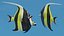 Moorish Idol Tropical Fish Rigged