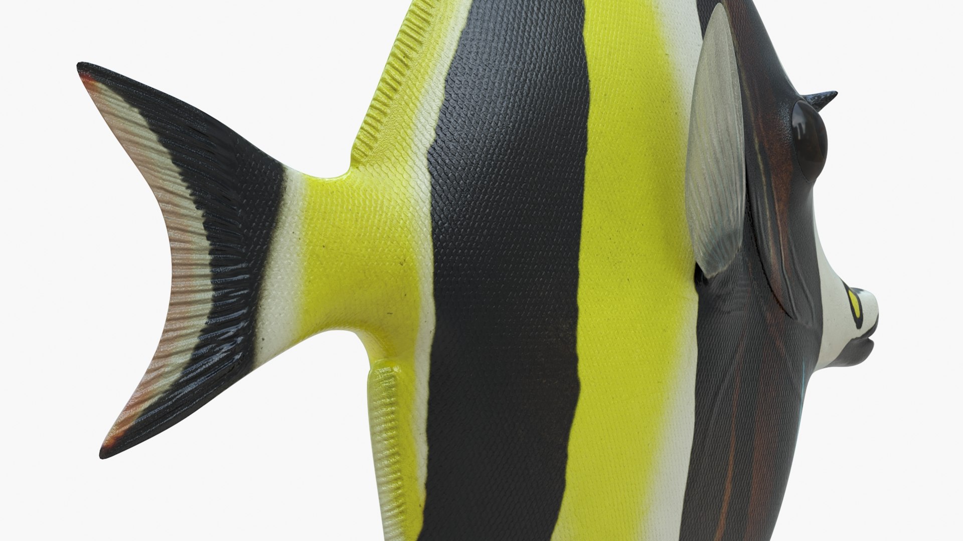 3D Moorish Idol Tropical Fish Rigged model https://p.turbosquid.com/ts-thumb/ak/H158Gv/aW/moorish_idol_tropical_fish_rigged_011/jpg/1739180491/1920x1080/fit_q87/b1c12544b8704e1ccbcdea04113152c7e312ff87/moorish_idol_tropical_fish_rigged_011.jpg