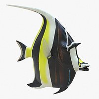 Moorish Idol Tropical Fish Rigged