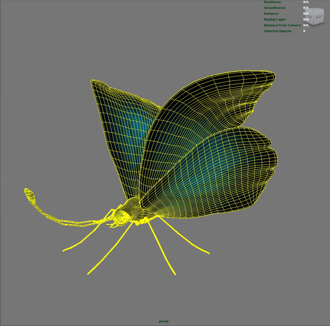 Butterfly Rigged Obj