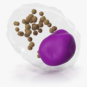 Macrophage Blood Cell