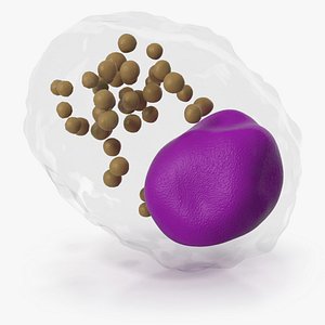 Macrophage Blood Cell