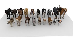 Realistic Dog Breeds 3D Model PBR Pack 3D model