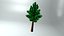 fantasy tree