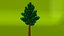 fantasy tree