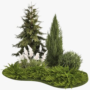Garden of thuja and cypress trees with pampas grass bushes 1163 model