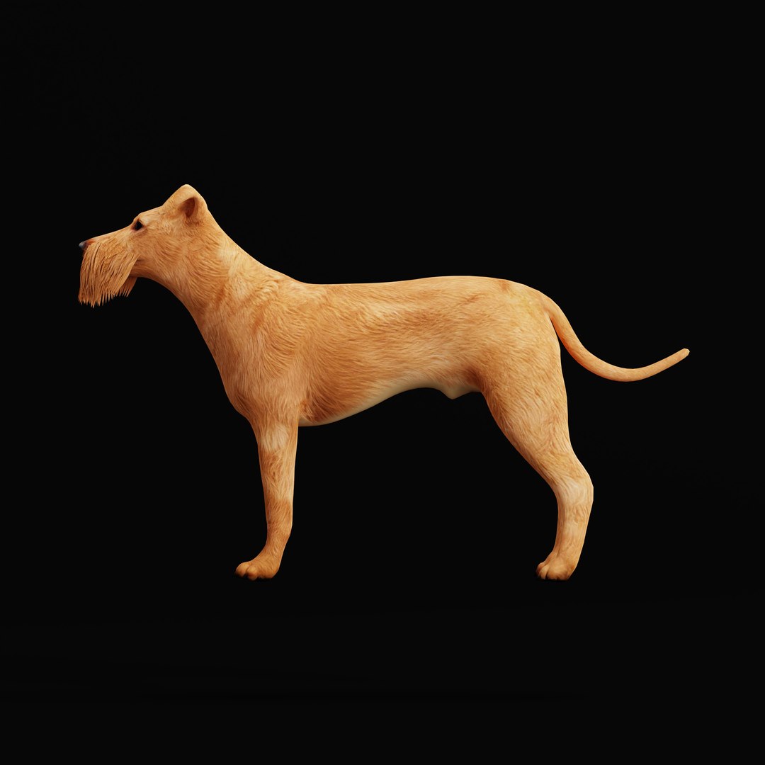 3D Irish Terrier Dog - TurboSquid 2288978