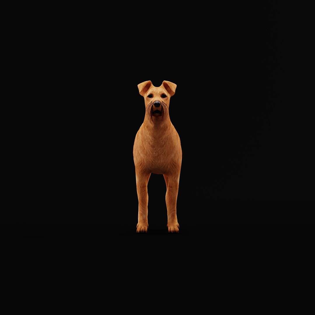 3D Irish Terrier Dog - TurboSquid 2288978