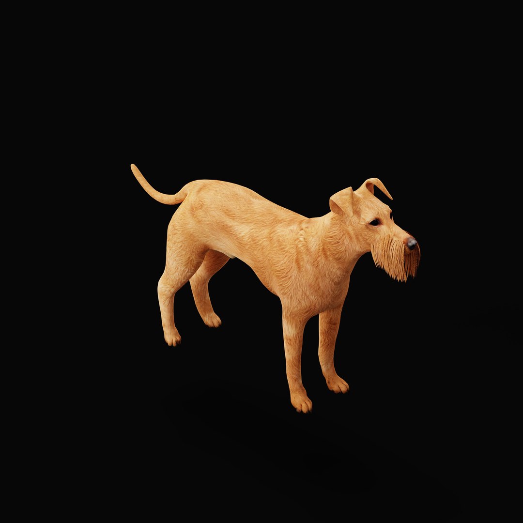 3D Irish Terrier Dog - TurboSquid 2288978