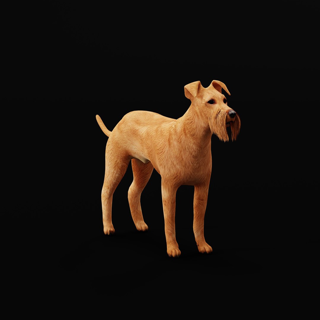3D Irish Terrier Dog - TurboSquid 2288978