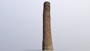 Subalpine fir trunk scan PBR 8K 3D