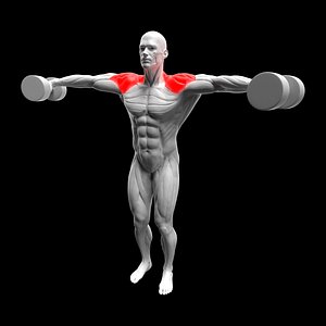 Dumbbell Lateral Raise