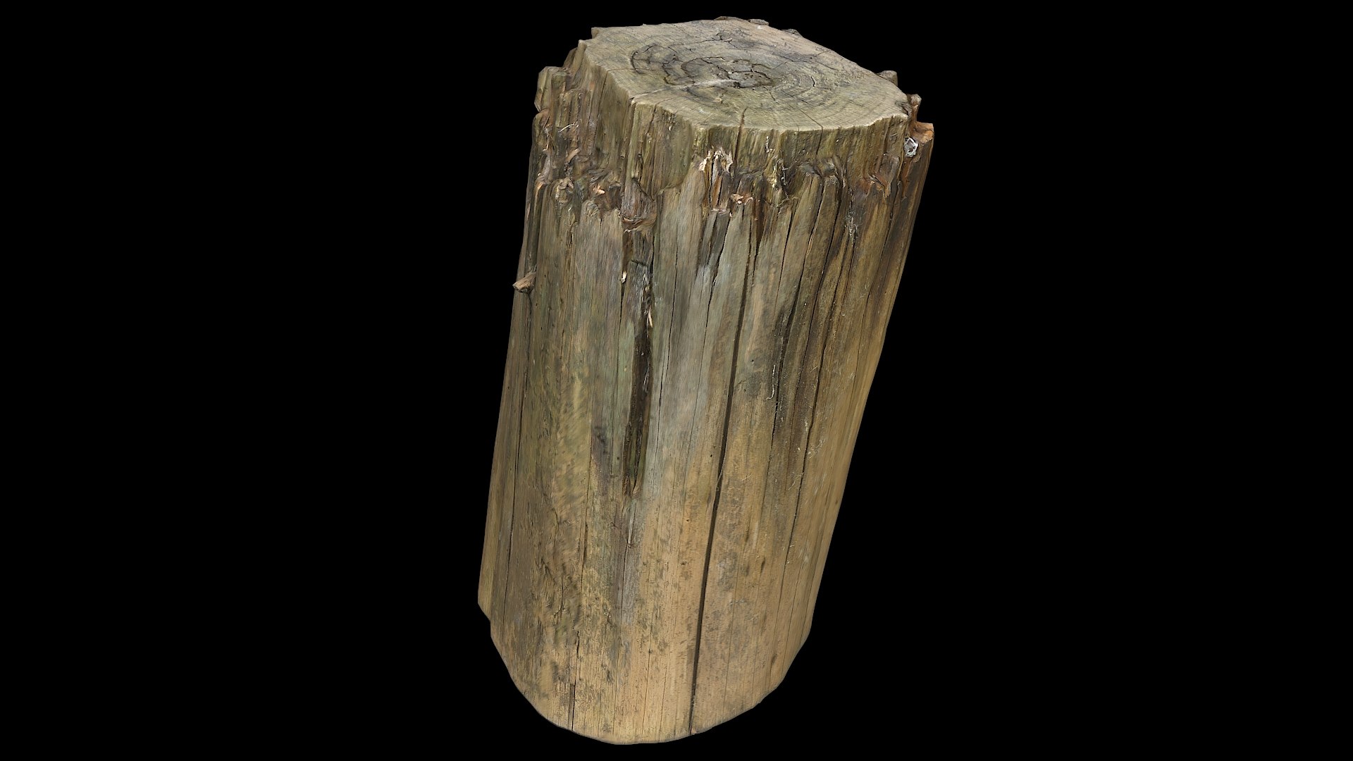 3D Tree Stump Seat 30 TurboSquid 2132876   Treestump30 02 